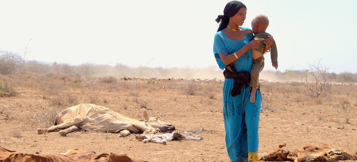 Geofagia: por qué hay gente que no puede parar de comer tierra - BBC News  Mundo